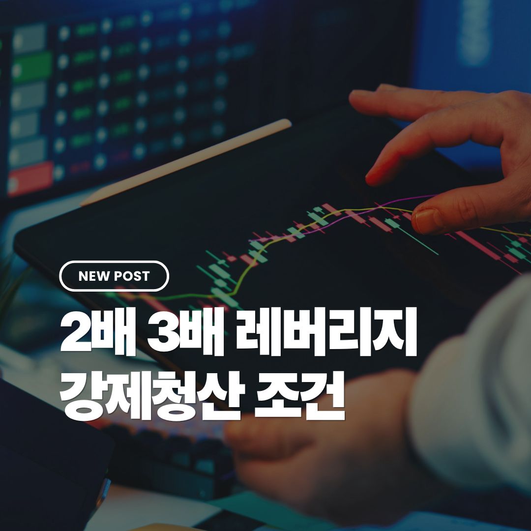 2배-3배-레버리지-강제청산-조건